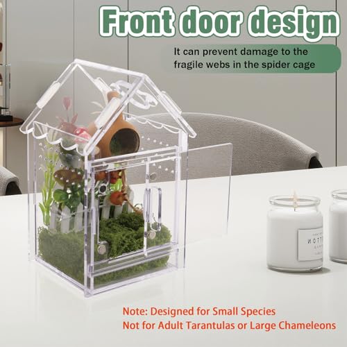 Acrylic Terrarium Kit for Jumping Spiders & Tarantulas - 3.15"x3.15"x5.6" Spider Enclosure with Magnetic Feeding Door & Secure Latch - Ideal Reptile Cage, Praying Mantis Habitat, Bug Terrarium