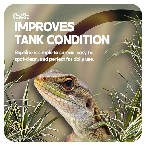 CaribSea Reptiles Calcium Substrate Sand - 20 lb Each - Natural White Sand for Reptile Terrariums, Promotes Healthy Habitat & Optimal Calcium Levels (Pack of 2) - size: 20lb (Pack of 2)