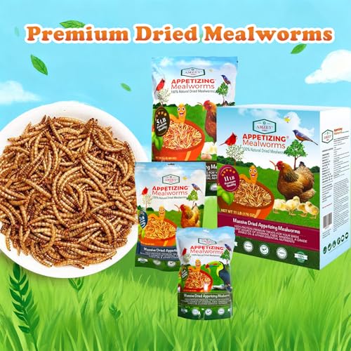Amzey Dried Mealworms 1 LB, 100% Natural Meal Worms for Chicken & Birds, Organic Chicken Feed for Laying Hens, High Protein and Nutrition, Zipped Bag - size: 1 Pound (Pack of 1)