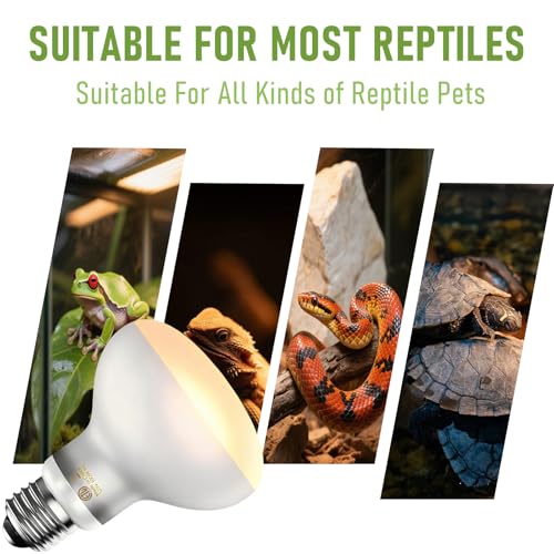 100W Reptile Heat Lamp Bulbs, 2-Pack Basking Spot Light for Bearded Dragon, Lizard, Turtle, Snake – Simulates Natural Sunlight for Amphibian Terrariums & Reptile Habitats - color: Whtie