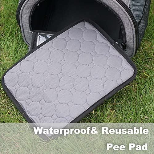 Rabbit Carrier, Small Pet Carriers for Guinea Pig Hamster Bird Bunny Bearded Dragon Kitty, Animal Bag with Stable Handle and Waterproof Pad, Easy Travel and Vet Visit-Small - size: Small