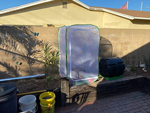 59" Outdoor Mesh Plant Enclosure, Mesh Plant Cover for Pests, Bird and Pest Protection Guard for Fruit, Vegetables, Flowers and Herbs Pop-Up Cage 35"x35"x59" - size: 35 x 35 x 59 Inches