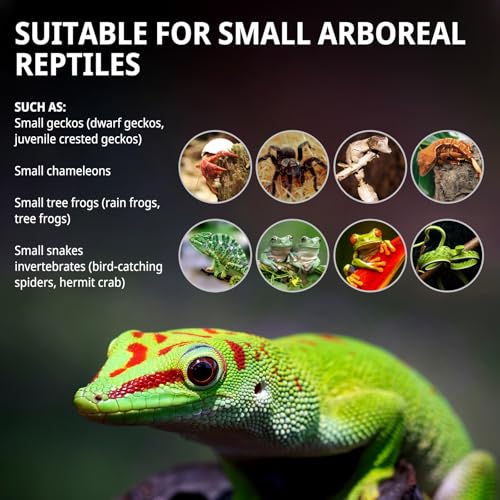 Tall Reptile Glass Tank 8"x8"x18" Pre-Assembled Vertical Small Reptile Terrarium for Arboreal Geckos,Chameleon,Lizard,Tree Frog and Snake with Top and Front Openning Door