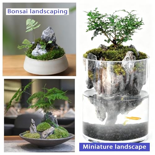 Natural Seiryu Rocks Aquarium Hardscape Rocks 20lb Aquascaping Stones for Fish Tank Aquarium Terrarium Shrimp Paludariums and Planted Tank Décor-2-9 Inches - size: 20lb(2-9in)