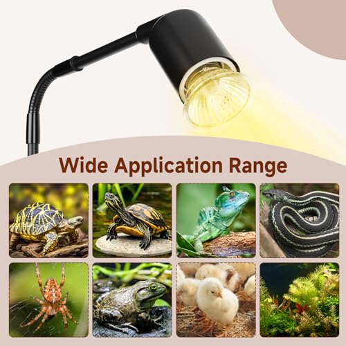 Reptile Heat Lamp, 360° Rotatable UVA/UVB Light Lamp with 2 Pack Basking Bulbs 50W, Suitable for Bearded Dragon, Reptiles, Turtle, Lizard, Snake