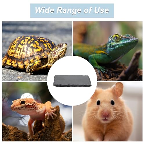 Reptile Basking Platform, Square Tortoise Habitat Slate, Turtle Feeding Slate, Habitat Decor Accessories for Crested Gecko Lizard, Gray Black