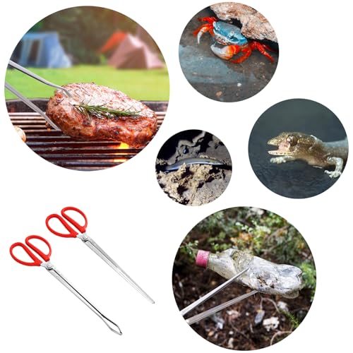2PCS Reptile Feeding Tongs, Extended Stainless Steel Snake Feeding Tongs, Straight and Curved Feeding Tong, can be used for Snakes, Reptiles, Bathtubs, Aquarium Terrarium Supplies(15 ")