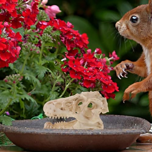 Resin Dinosaur Skull Model Realistic for Office Display Small Decoration for Terrariums Halloween Decor and Anatomy Teaching Tool