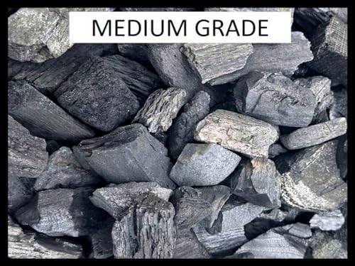 Activated Organic Hardwood Horticultural Charcoal | for Plants, Terrariums and Springtail Breeding Substrate, by Critters Direct (1 Quart (Medium Grade)) - style: 1 Quart (Medium Grade)