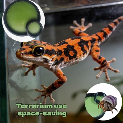 3Pcs Crustacean Care Bowl Dual Purpose Hermit Crab Feeders Water Dishes for Hermit Crab Snail Millipede and Small Reptile Pets