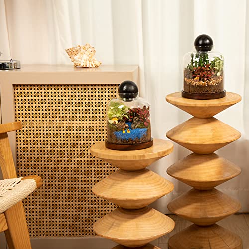 Yangbaga Large Glass Terrarium Succulent Plant Terrarium House for Plant/Moss Ball/Glass Fish Tank Mini Table with Wood Base & Ball lid Office Home Decoration - size: H-7IN