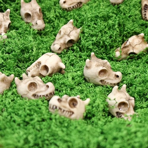 20PCS Miniature Dragon Skull Ornaments for Aquarium Decorations, Tiny Dinosaur Bones for Succulent Plant Pots, Gothic Fairy Garden Terrarium Kit