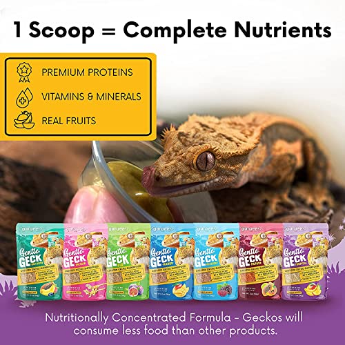 Gargeer 16oz Complete Crested Gecko Food Diet. Premium Mix, Ready to Use Freshly Made Powder. Unique Formula, Developed & Made in the USA. Enjoy! (Tropical + Insects Protein) - size: 1 Pound (Pack of 1)