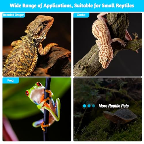 46PCS Glow in the Dark Bearded Dragon Rock Climbing Holds,Reptile Rock Climbing Wall,Bearded Dragon Enrichment Toys,Bearded Dragon Tank Accessories,Climbing Wall Grips for Bearded Dragon,Gecko,Lizard