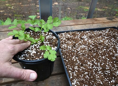Happy Trees Coco Coir and Perlite 70/30 Growing Medium, Potting Mix, Seed-Starting, Premium Quality Triple-Washed for Low Salt/EC, pH Balanced Loose Coconut Fiber, Peat-Free, 50L (1.8 cu.ft.) - size: 50L
