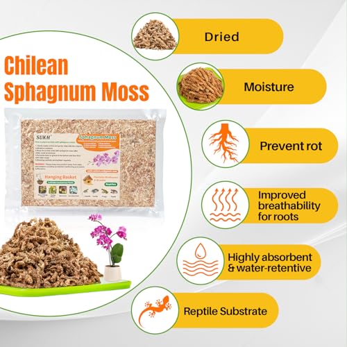 3 Oz Sphagnum Moss for Orchids - Sukh Sphagnum Peat Moss for Plants Dried Long Fiber Orchid Moss Potting Mix for Phalaenopsis Cattleya Orchids Repotting Succulent Carnivorous Potted Plant Reptiles