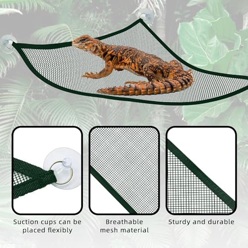 2 Pcs Bearded Dragon Lizard Hammock, Geckos Hammock, Breathable Mesh Reptile Hammock, Suitable for Large & Small Bearded Dragons Anole Geckos Lizards or Snakes(Green) - color: Green