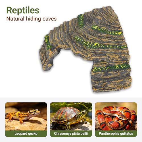 Reptile Hideout Cave with Textured Top for Natural Shedding Aid | Non-toxic resin habitat decor, fits terrariums to reduce pet stress. Sized 6.3x6.3x4.06 in for geckos & spiders.