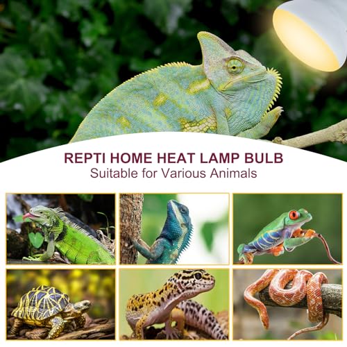 150W Reptile Heat Lamp Bulb,Basking Spot Lamp Bulb for Reptiles & Amphibians,Reptile Daylight Heat Bulb for Bearded Dragon, Lizard, Turtle - size: 150*1