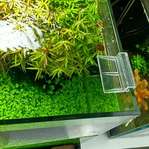 Murtenze 8 PCS Aquarium Lid Clips, 10mm Clear Acrylic Fish Tank Holder Support Clamps for Rimless Aquariums - size: 10mm