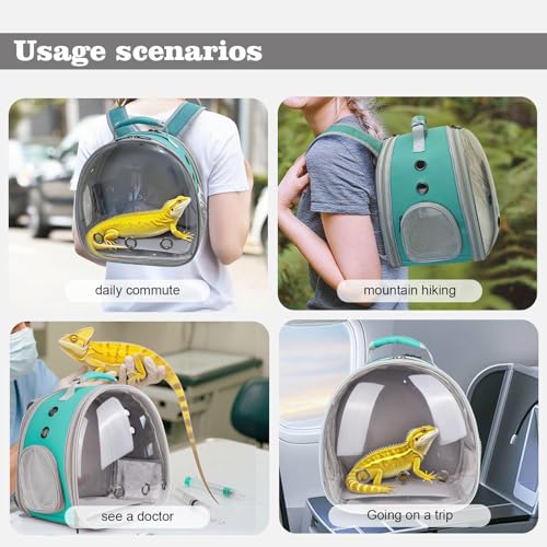 Crested Geckos Backpack Carrier,Reptile Portable Backpack Carrier with Small Backpack Harness Leash Set,Space Capsule Clear Bubble Window Travel Backpack for Lizard Travel,Guinea Pig,Bearded Dragon - color: Green