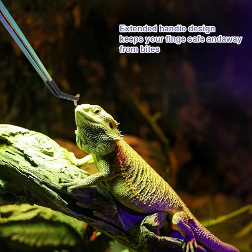 6PCS Stainless Steel Reptile Feeding Tongs and Spoons Set, 10.6" Long Tweezers with Rubber Tips & 10.2" Feeding Scoops for Bearded Dragon Tank Accessories, Snake Enclosure, Gecko, Terrarium Supplies