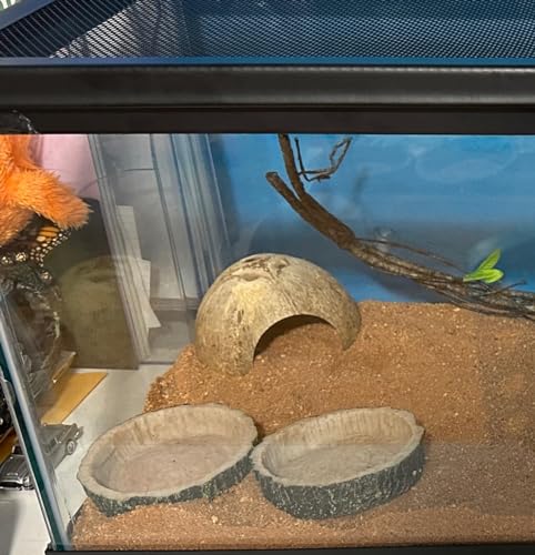 2PCS Reptile Water Dish Food Bowl Set Reptile Feeder Food and Water Dish with Feeding Tweezers Tong for Leopard Gecko Lizard Frog Snake Chameleon Tortoise (Style 2) - color: style 2