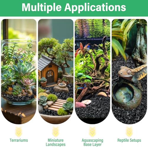 Legigo 6QT All Natural Horticultural Charcoal- Activated Hardwood Plant Charcoal for Soil Amendment, Conditioning Bonsai Soil, Succulent Soil, Terrarium Supplies, Indoor Plant Potting Soil - color: 6 QT