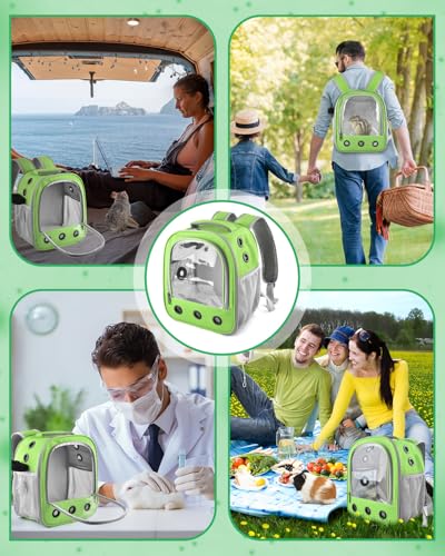 DBNESS Guinea Pig Carrier Backpack,Portable Travel Small Pet Carrier with Water Bottle Holder & Detachable Pad for Rabbits Hamsters Chinchillas Bearded Dragons Geckos Parrots (Green)