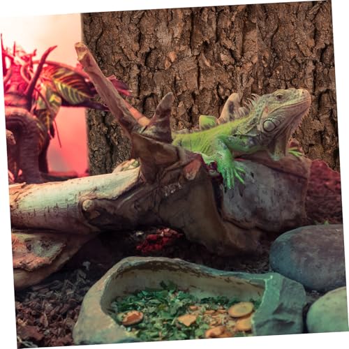 Luxshiny 2 Pcs Natural Cork Bark Aquarium Bark Terrarium Decor for Reptiles and Fish Tanks Climbing and Hiding Spots for Bearded Dragons Lizards Geckos Safe and Easy to Install Wall