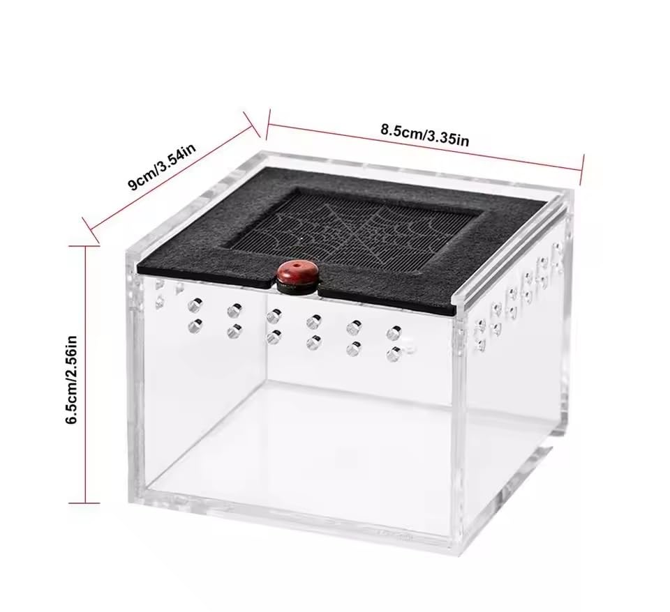 3.5x2.5 inch Pet Spider Box Reptile Crawling Pet Feeding Lizard Silkworm Baby Scorpion Unicorn Beetle Insect House Black Acrylic Box