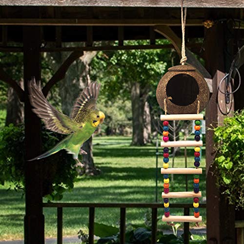 Hanging Coconut Birds House with Ladder,Natural Coconut Fiber Shell Bird Nest for Parrot Parakeet Lovebird Finch Canary,Coconut Hide Birds Swing Toys for Hamster,Bird Cage Accessories,Pet Bird Supply