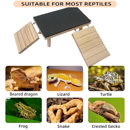 Bearded Dragon Platform Wooden Reptile Hideout Cave Climbing Tank Accessories with Reptile Basking Rock for Leopard Gecko Lizard Tortoise (Medium, 11.8 × 5.9 Inches) - size: Medium