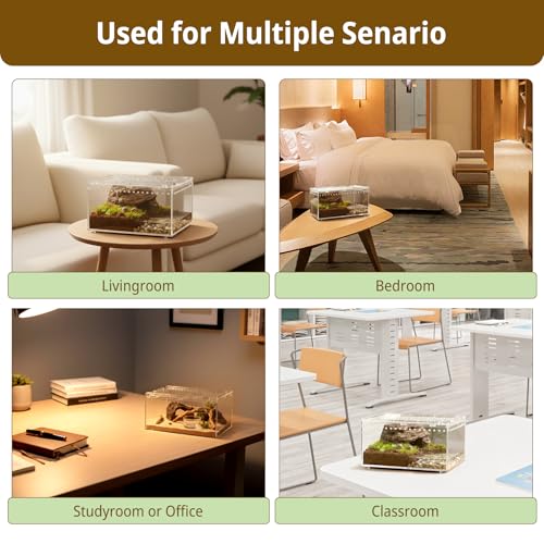 Reptile Terrarium Starter Kit, PC Habitat w/Magnetic Lid & Full Ventilation, Scorpion Habitat, Tarantula Enclosure, Spiders Cage, Insect Terrarium, Mantis & Small Frog Terrarium, 8"x6"x4" Assembled