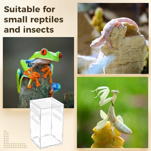 Acrylic Reptile Enclosure, 4.7 x 4.7 x 7.9 in Vivarium Terrarium for Spiders, Frogs, Praying Mantis, Clear Habitat with Ventilation Holes, Front Opening Door for Easy Access