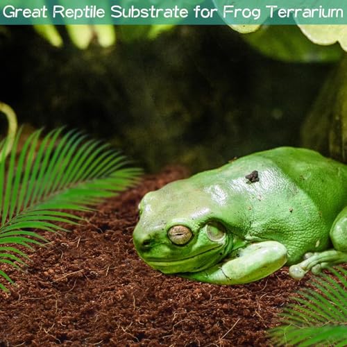 Halatool Compressed Coconut Fiber Substrate for Reptiles | 1 Pack Organic Coconut Substrate, Reptile Bedding for Geckos, Snakes, Lizards, Hermit Crabs & Tarantulas - color: 1 pack