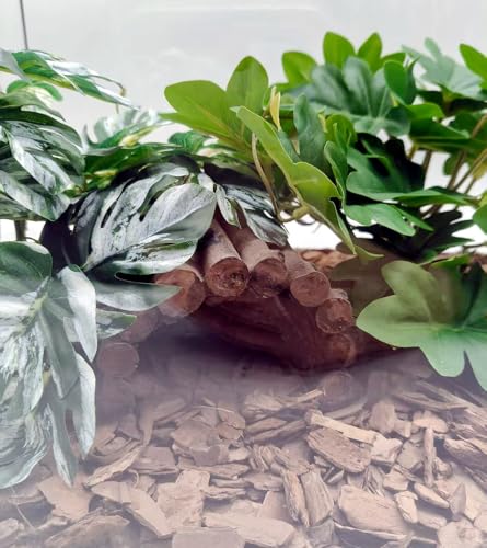 Resin Reptile Tank Accessories Hideouts Cave Habitat Decor for Leopard Gecko Lizards Turtle (Medium-C) - size: Medium-C