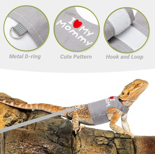 Bearded Dragon Travel Backpack Carrier with Reptile Thermometer and Humidity Gauge Lizard Travel Cage Space Capsule Clear Bubble Window Astronaut Reptile Bag for Ball Python (Black, Carrier+I LSH) - color: Black, size: Carrier+I LSH