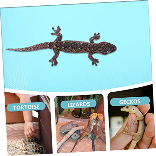 Sosoport Large Reptile Carpet Eva Mat for Bearded Dragon Snake Gecko Lizard Safe Non-Slip Cage Liner - color: Sky-blue