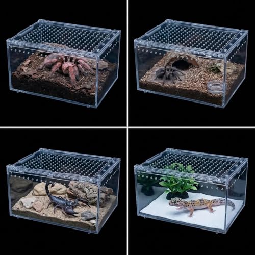 Tarantula Enclosure, Magnetic Escape-Proof Habitat for Tarantulas | 12×8×6" Clear PC Terrarium with Sliding Lid & 360° View, Ideal for Hermit Crabs, Isopods, Beetles & Large Invertebrates - size: A-M(12x8x6in)