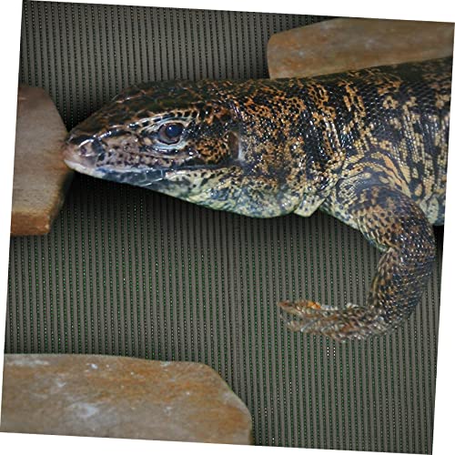 BESPORTBLE Reusable Terrarium Liner Reptile Carpet Bedding Portable Snake Mat Lizard Carpet Mat Decorative Reptile Pad