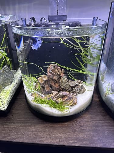 Aqua Natural Substrate, Sugar White Sand, 10lb | Aquascaping, Aquariums, Vivariums, Terrariums - size: (Pack of 1)
