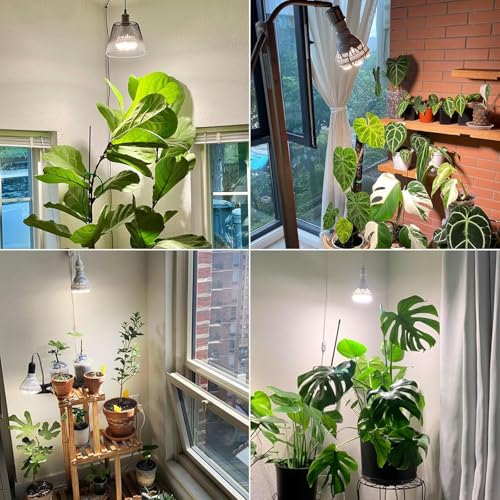 SANSI Dimmable Grow Light Bulb Full Spectrum, High PPFD 40W (600 Watt Equiv) with Remote, Auto On Off Timing 4 8 12 Hrs, Energy Saving Plant Light Bulb with E26 Base for Indoor Plants - size: PPFD 345