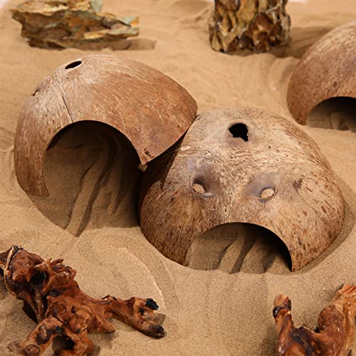 Woanger 6 Pcs Natural Coconut Reptile Hideouts, Coco Hut Hide Toys for Lizards, Geckos, Hermit Crabs, Snakes, Tarantulas, Small Reptile Habitat Decoration Supplies