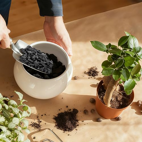 2 Quarts Horticultural Charcoal for Indoor Plants-Hardwood Potting Soil Amendment for Orchids, Succulent, Cactus, Terrariums, and Gardening