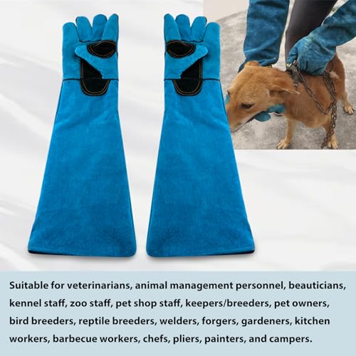 23.43inch Animal Handling Gloves, Animal Control Gloves Bite Resistant Snake Proof Cowhide Reinforced Leather Protection Dog Training Glove for Cats Scratch Reptiles Birds Falcon Grabbing - color: Blue(23.43")