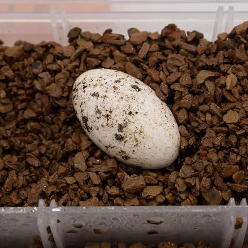 Pangea Hatch Premium Reptile Egg Incubation Substrate (4 lb) - size: 4 lb