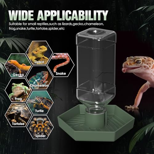 Reptile Water Dispenser-Bearded Dragon Water Bowl - Small Water Dish for Tortoise - Bowls for Reptiles & Amphibians (S) - size: S