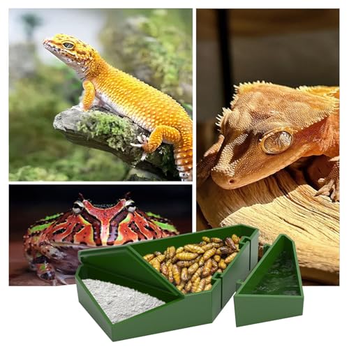 Bearded Dragon Tank Accessories, 3-in-1 Reptile Bowl with Dismountable Section for Food Water and Powder, Gecko Feeding Ledge, Reptile Tank Accessories for Bearded Dragon, Chameleon, Gecko, Frog