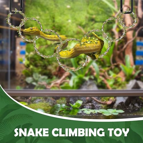 Snake Enrichment Rings for Ball Python, Climbing Toys for Corn Snake Enrichment Toys Snakes Climbing Accessories for Terrarium, Bearded Dragon, Chameleon, Iguana, Gecko, Parrot(Symmetry)